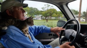 ted and cat driving